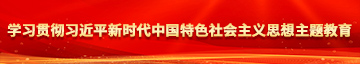 狠狠插屄网学习贯彻习近平新时代中国特色社会主义思想主题教育